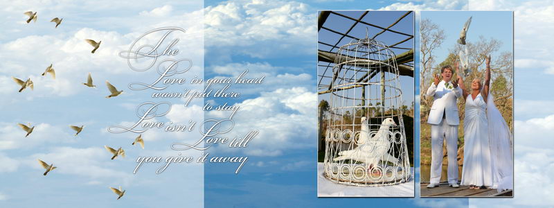 Pro wedding photographer Pierre Bassani